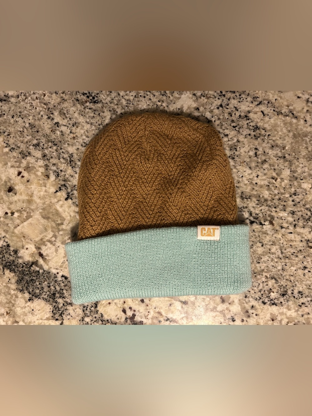 CAT beanie